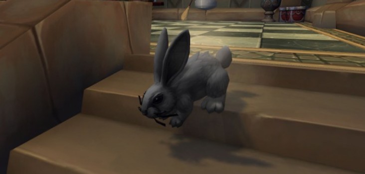 Big dustbunny 675x357