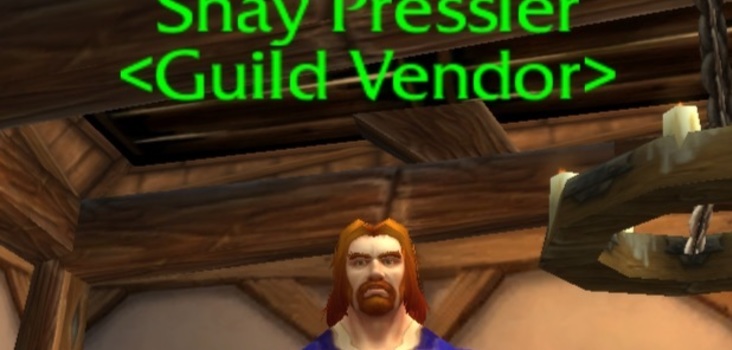 Big stormwind guild vendor