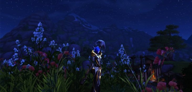 Big priest stormsong valley flowers 1 