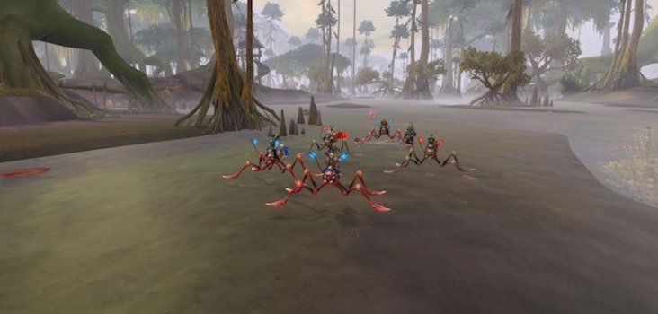 Big water striders in nazmir 1 