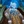 Thumb 8944