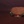 Thumb 12291