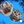 Thumb 5793