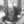 Thumb 11991
