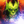 Thumb 2066