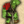 Thumb 5072