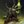 Thumb 8sslecp7bow