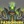 Thumb 9201