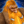 Thumb 2496