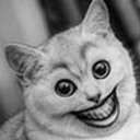                 100 100 