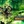 Thumb 15492