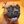 Thumb 5698